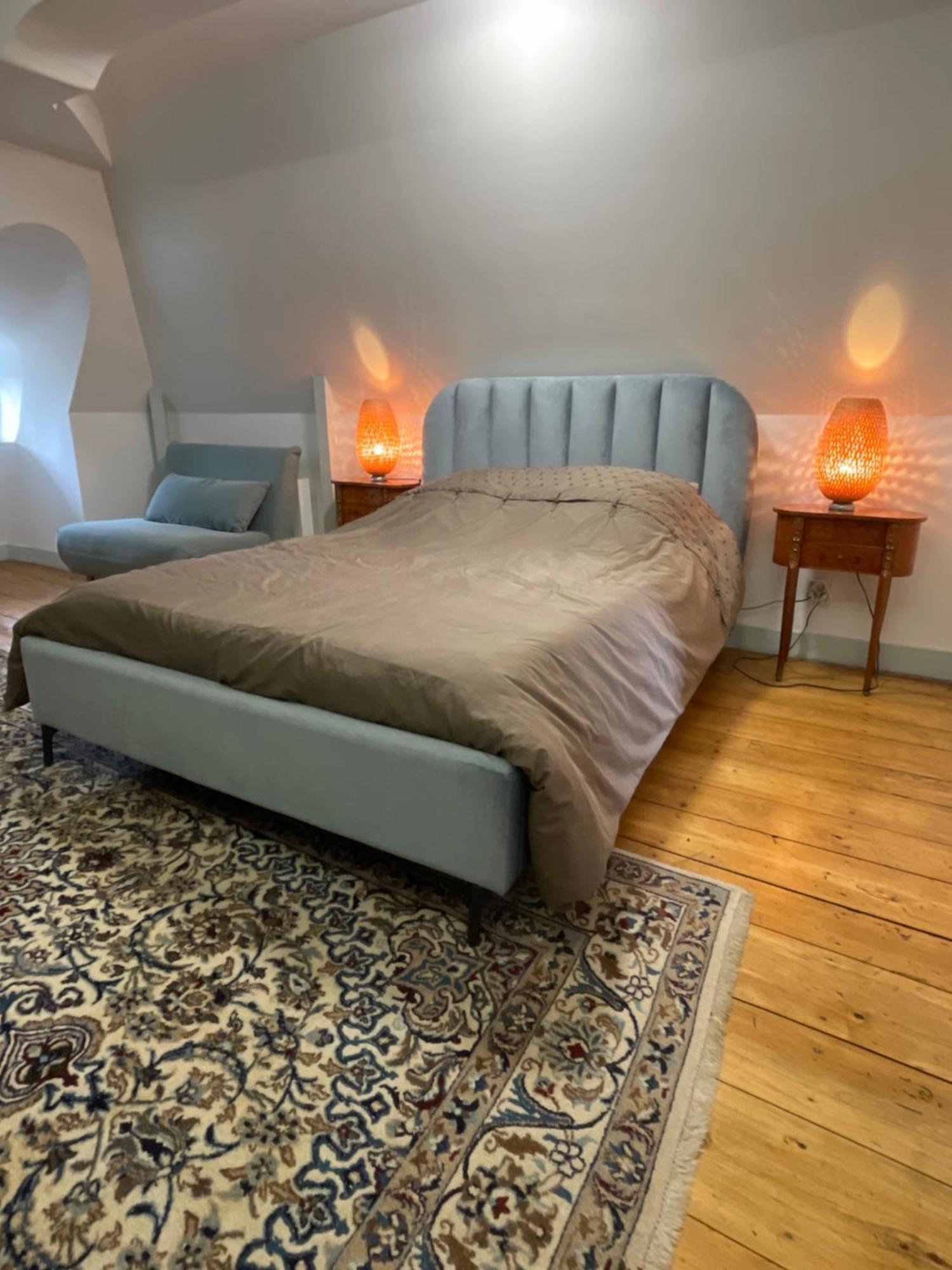 T2 De Charme Dans Un Chateau Layrac Екстер'єр фото